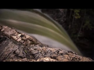 Ana criado adrian raz dancing sea (the madison banging remix) hd