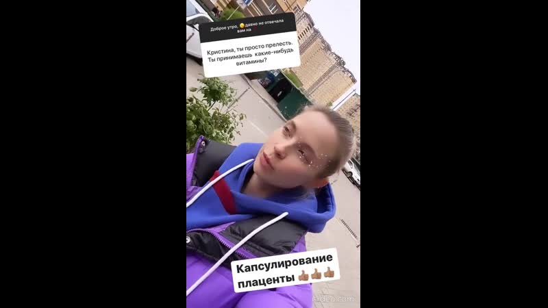 Sariqning mushukining yaqindan olingan surati