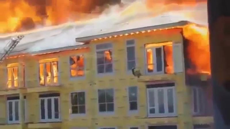 Әлемді жылаткан видео ролик