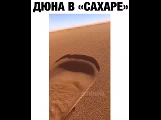 Ну вот, пустыню поломал 😃😁