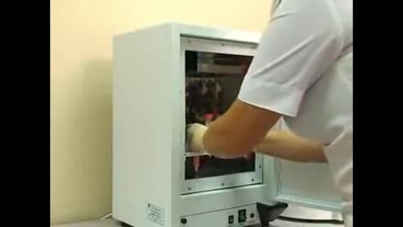 Инсеминация