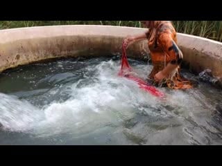 Alia malik new video 2020 vlog village life must watch punjabi video bata movies(720p hd) mp4