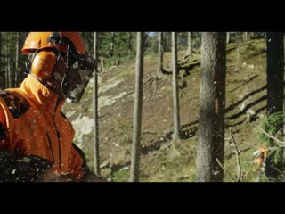 Бензопила stihl ms 261 c m