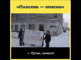 «плесень опасна»