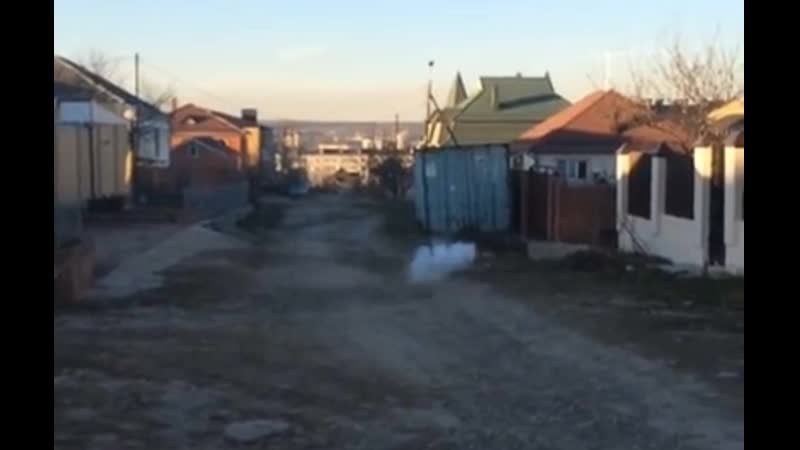 Петарда gorilla boom
