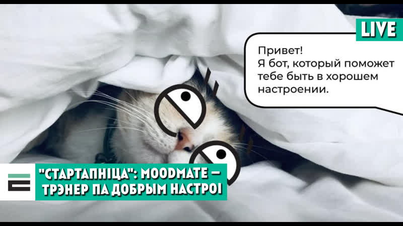 "стартапніца" moodmate персанальны трэнер па добрым настроі