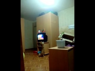 Vid 20160420 202222