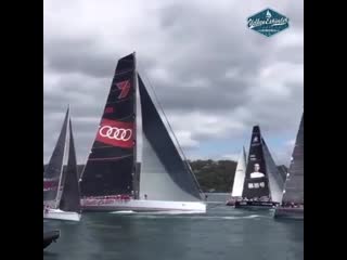 Wild oats xi