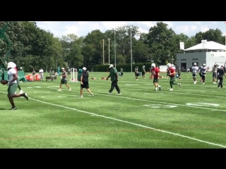 Jets sam darnold day 14 camp highlights (moscatalogue net)