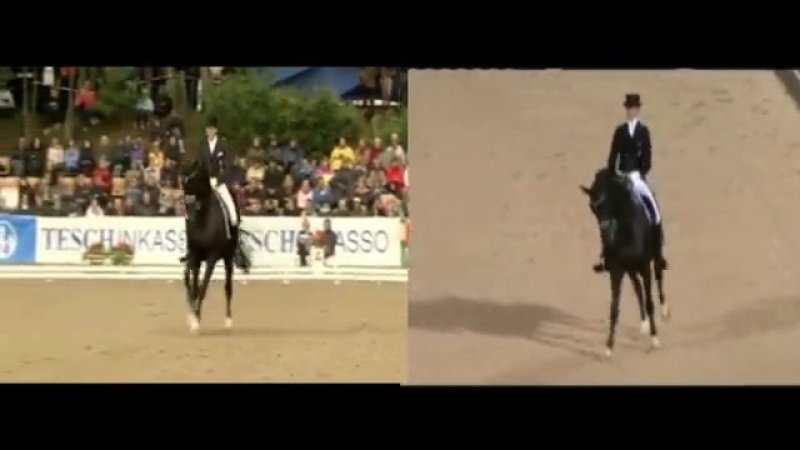 Эдвард галл и тотти