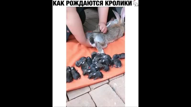 Хейтеры скажут фейк😃