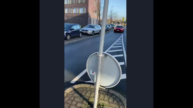 Холанд с моркоой