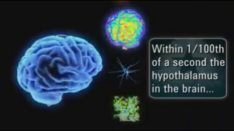 Вы только что выиграли миллион что произойдет с вашим организмом?!