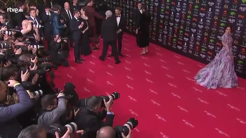 La actriz penelope cruz posando para la prensa, opta al goya a mejor actriz protagonista goya2020