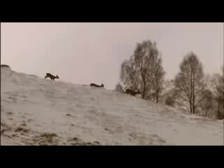 Bruce molsky with julie fowlis the blackest crow