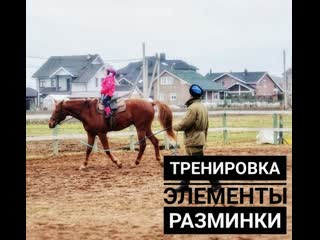 Разминка конная тренироа верховая езда