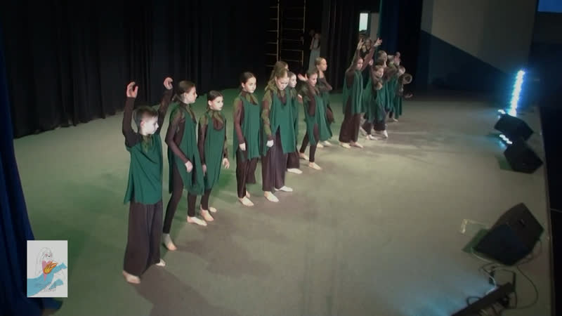 «реликтовый лес» ансамбль современного танца «фантазия»