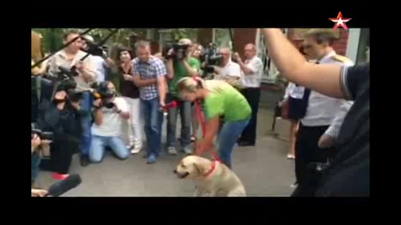 Слепая девушка встретилась со своей украденной собакой