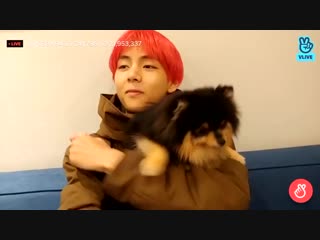 Tae and yeontan