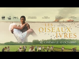 Пьяные пташки (2021) les oiseaux ivres (drunken birds)