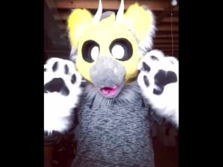 Tweek cockatiel dutch angel dragon