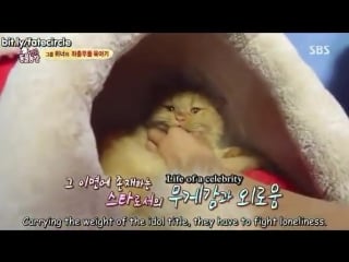 Shes there to accompany mino making music, get through his loneliness, being perfect adorable loyal companion, the source of min