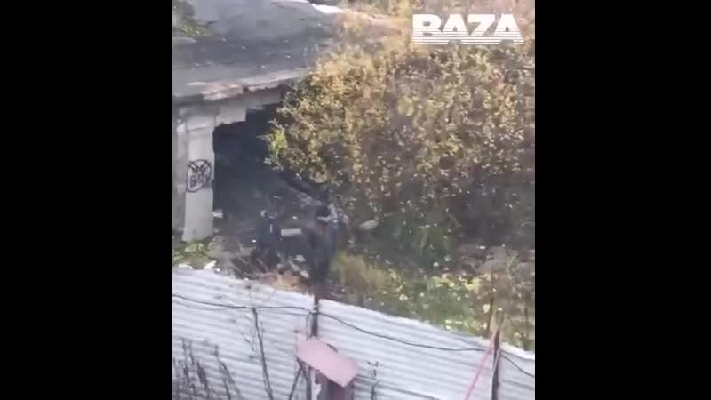 Жители посёлка в ленобласти устроили целое расследование искали молодые