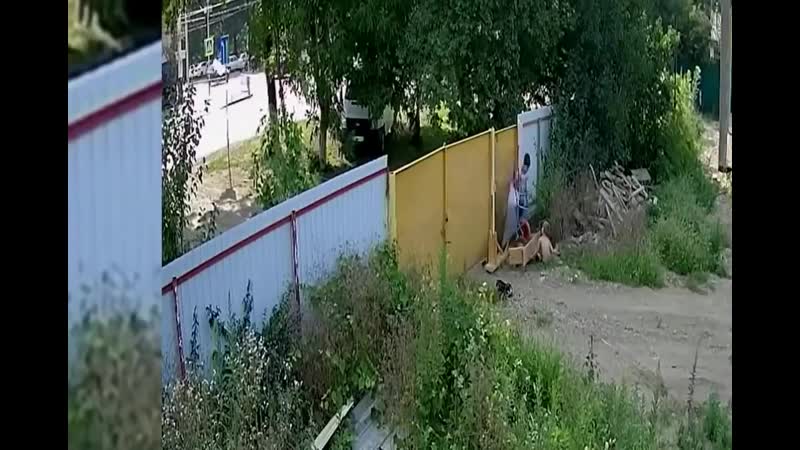 Спиздили [рофлы и панчи]