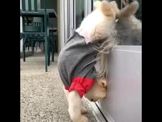 Yoga day every 20200506 084830 0 mp4