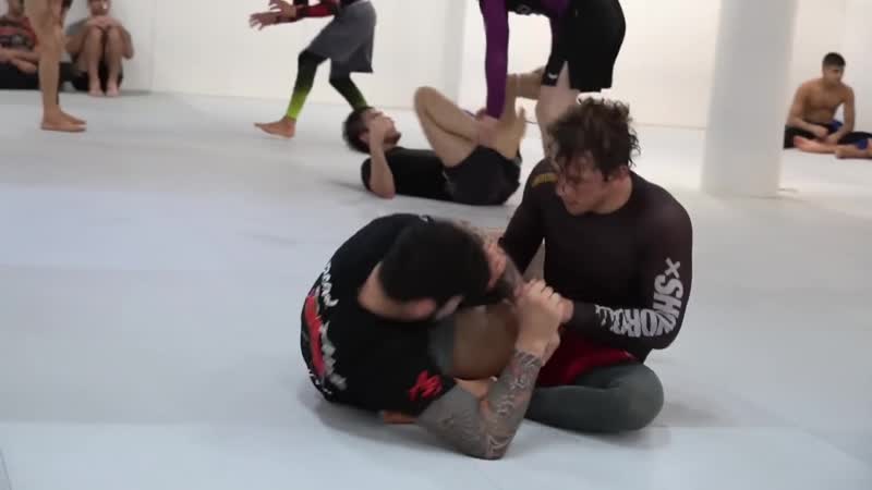 Love him or porn him, dillon danis has smooth jiu jitsu love him or sex him, dillon danis has smooth jiu jitsu