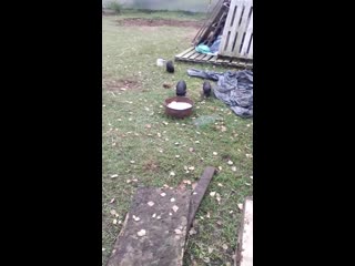 Vid 20201009 124225 mp4