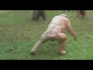 Молодыеза спартак, лютые