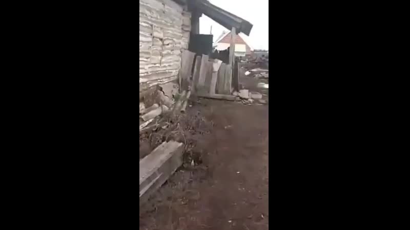 Старенькая бабушка живёт одна в татарстане