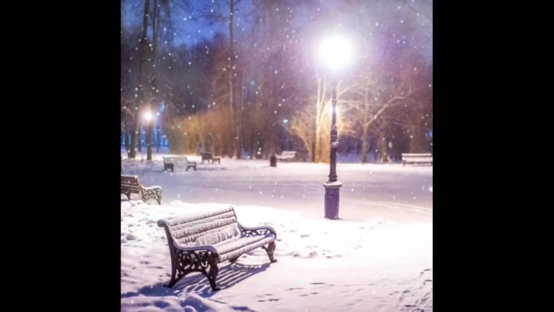 Лавочка в парке кио