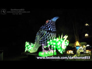 Regent honeyeater in taronga porn precinct @ vivid sydney 16062017