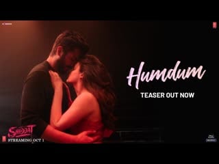 Hum dum (video) | shiddat | sunny kaushal, radhika madan | ankit tiwari | gourov dasgupta