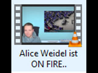 Alice weidel ist on fire