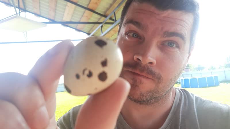 Eve online / не хочешь летать на яйце ? смотри мои советы как избежать молодые