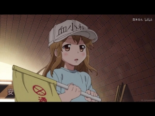 【hataraku saibou】 platelet a u u ineine