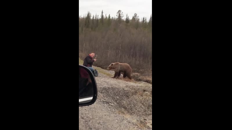 Слабоумие и отвага