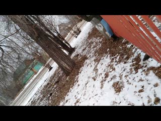 Vid 20191228 121144 mp4