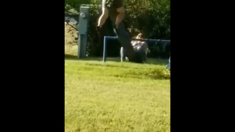 Бодипозитив