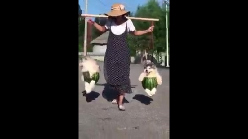 Я на речку шла, тяжело несла ))