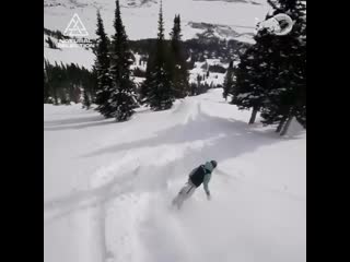 Zoi sadowski synnott