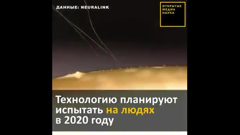 Neuralink / elon musk