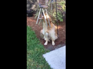 She plays the wind chimes and sings along