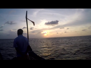 Good night #sunset #manta #sea #ocean #snorkling #turtle #depth #night