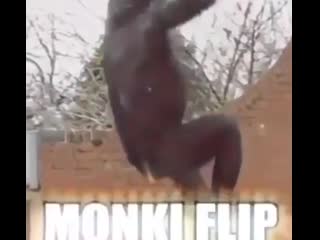 Monki flip