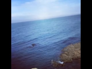 170702 cream instagram video