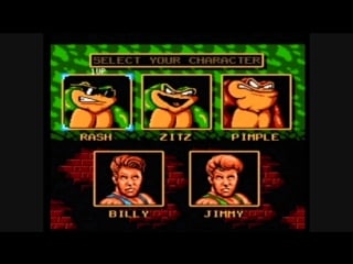 Battletoads & double dragon